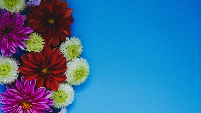 普利西奇入选意甲第14轮最佳阵容