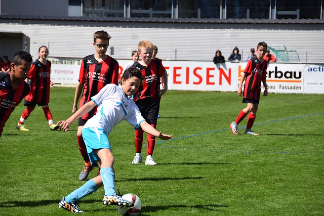 再次证明了 再次证明了