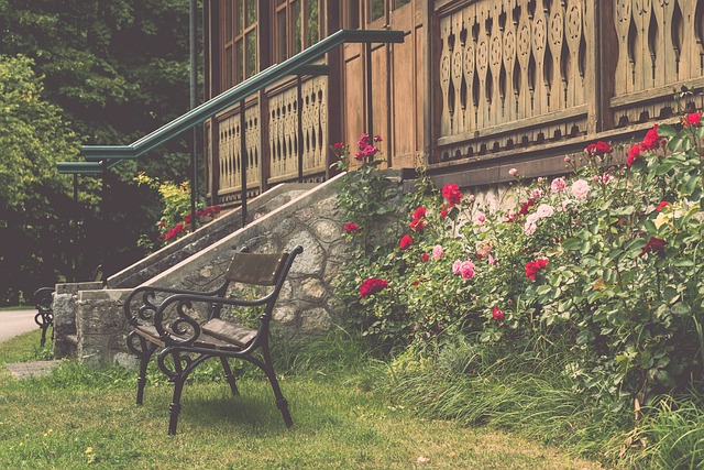 阿连德在进 阿连德在进