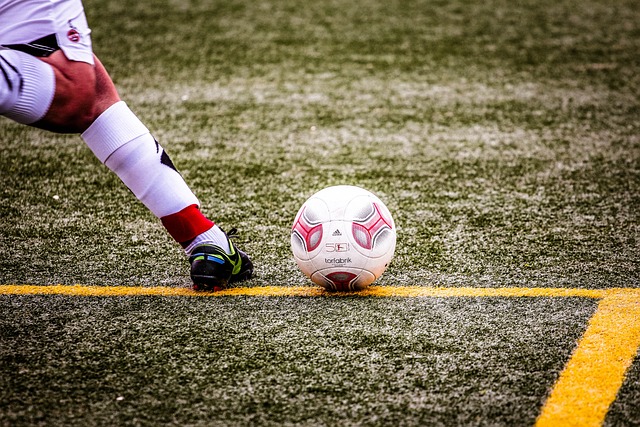 目的排球明 目的排球明