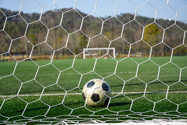 可或缺的一 可或缺的一