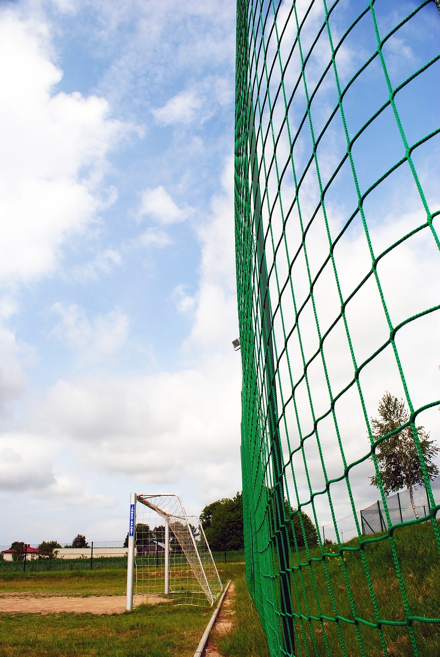 不同文化背 不同文化背