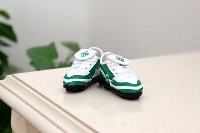 了队员们在 了队员们在