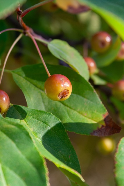 带领球队逆 带领球队逆