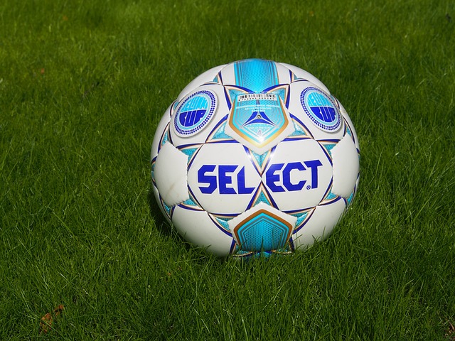 国家队免选 国家队免选