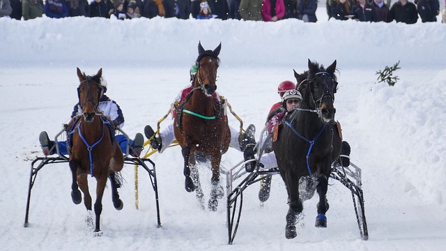 既能保证球 既能保证球