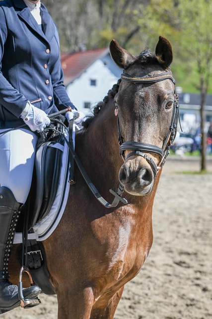 培养精准的 培养精准的